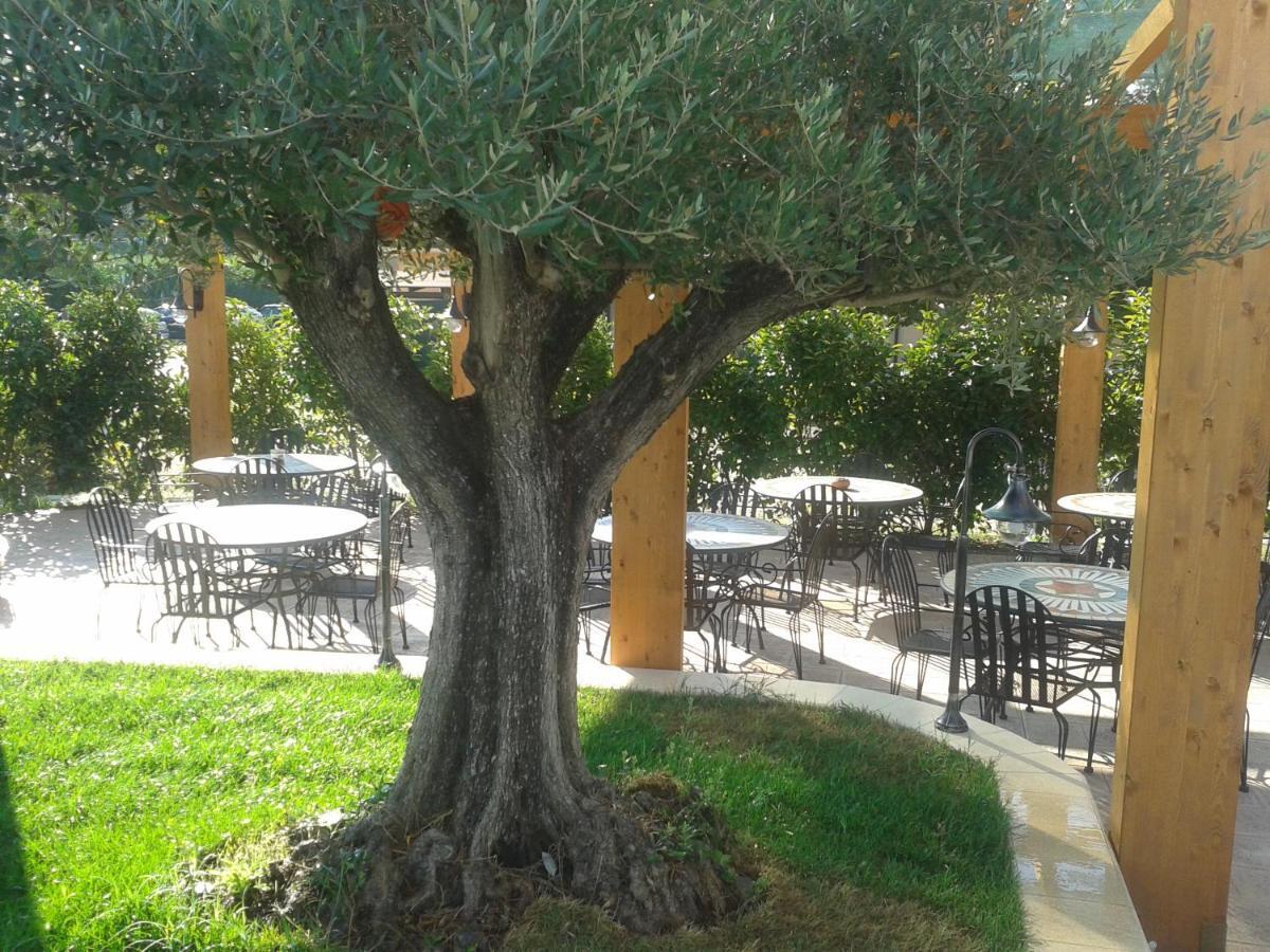 Hotel Villa Aurora Latina Zewnętrze zdjęcie